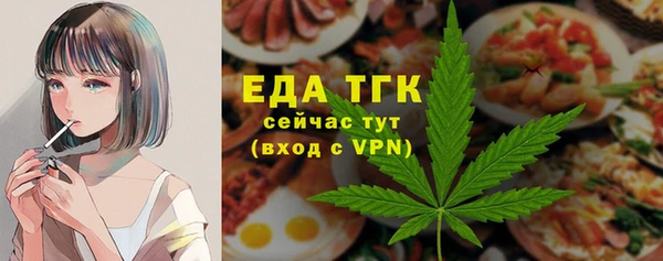 дживик Сясьстрой