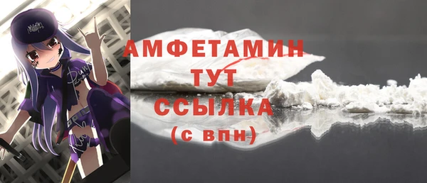 дживик Сясьстрой