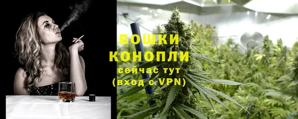 дживик Сясьстрой