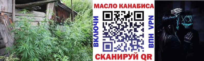 Дистиллят ТГК вейп с тгк  Купить где  Гатчина 
