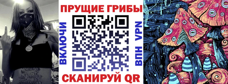 Галлюциногенные грибы мицелий  Купить закладки  Гатчина 